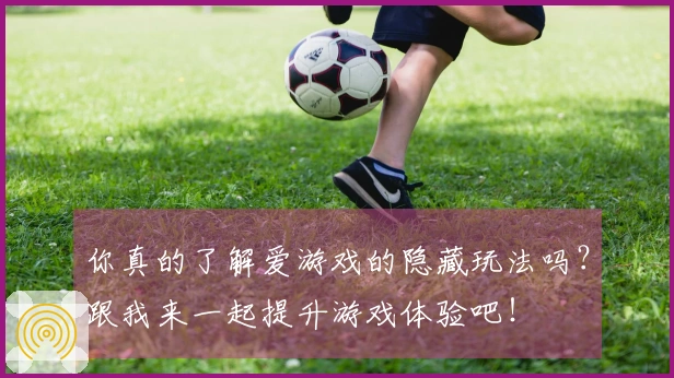 你真的了解爱游戏的隐藏玩法吗？跟我来一起提升游戏体验吧！