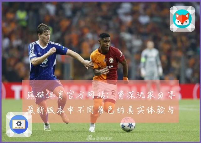 熊猫体育官方网站：资深玩家分享最新版本中不同角色的真实体验与优势对比