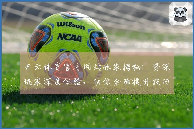 开云体育官方网站独家揭秘：资深玩家深度体验，助你全面提升技巧与收益